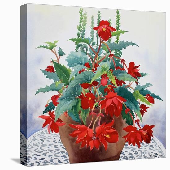 Begonia-Christopher Ryland-Stretched Canvas