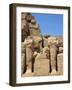 Beheaded Statues of Karnak Temple, Egypt-mary416-Framed Photographic Print