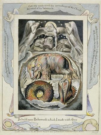 https://imgc.allpostersimages.com/img/posters/behemoth-and-leviathan-from-the-book-of-job-pl-15-c-1793-hand-tinted-line_u-L-Q1HL6I60.jpg?artPerspective=n