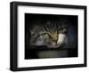 Behind Bars-Jai Johnson-Framed Giclee Print