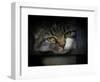 Behind Bars-Jai Johnson-Framed Giclee Print