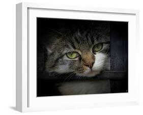 Behind Bars-Jai Johnson-Framed Giclee Print