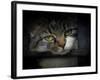 Behind Bars-Jai Johnson-Framed Giclee Print