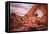 Behind the North Window, Arches National Park-Vincent James-Framed Stretched Canvas