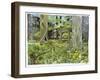 Behind the Squires, Devon-Hilary Jones-Framed Giclee Print