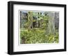 Behind the Squires, Devon-Hilary Jones-Framed Giclee Print