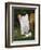 Behind the Times-William Henry Gore-Framed Premium Giclee Print