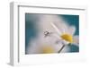 Behind-Heidi Westum-Framed Photographic Print