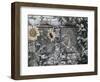 Behold! He Standeth Behind Our Wall-James Tissot-Framed Giclee Print