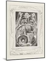 Behold Now Behemoth Which I Made with Thee, 1825-William Blake-Mounted Giclee Print