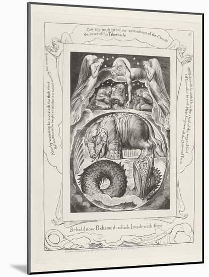 Behold Now Behemoth Which I Made with Thee, 1825-William Blake-Mounted Giclee Print