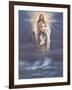 Behold the Lamb of God-Unknown Chiu-Framed Art Print