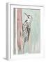 Beige Woodpecker II-Patricia Pinto-Framed Art Print