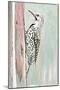 Beige Woodpecker II-Patricia Pinto-Mounted Art Print