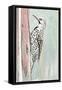 Beige Woodpecker II-Patricia Pinto-Framed Stretched Canvas