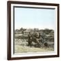 Beijing (China), the Fort of Tangkho, Cannon Seized by French Troops on August 14, 1860-Leon, Levy et Fils-Framed Photographic Print