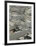 Beijing, Dongcheng District, Rooftop View of Traditional Beijing Hutong Area from Old Drum Tower-Walter Bibikow-Framed Photographic Print