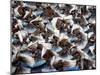 Beijing Olympics Opening Ceremony, Performers Dancing, Beijing, China-null-Mounted Photographic Print