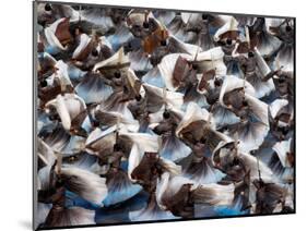 Beijing Olympics Opening Ceremony, Performers Dancing, Beijing, China-null-Mounted Photographic Print