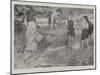 Being Beavers-Arthur Herbert Buckland-Mounted Giclee Print