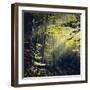 Being There Revisited-Dirk Wüstenhagen-Framed Photographic Print