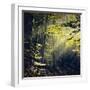 Being There Revisited-Dirk Wüstenhagen-Framed Photographic Print