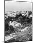 Beirut from the American College, Lebanon, C1927-C1931-null-Mounted Giclee Print