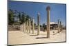 Beit She'an National Park (Scythopolis), the Western Bathhouse-Massimo Borchi-Mounted Photographic Print