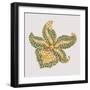 Bejeweled Flower-Continental School -Framed Premium Giclee Print