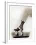 Bejeweled Roller Skate, 1920-Science Source-Framed Giclee Print