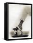 Bejeweled Roller Skate, 1920-Science Source-Framed Stretched Canvas