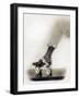 Bejeweled Roller Skate, 1920-Science Source-Framed Giclee Print