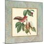 Bel Air Songbirds I-Zachary Alexander-Mounted Art Print