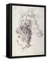 Bel-Anna, Queen of the Sea, C.1609-Inigo Jones-Framed Stretched Canvas