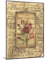 Bel Bouquet I-Kimberly Poloson-Mounted Art Print
