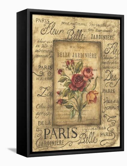 Bel Bouquet I-Kimberly Poloson-Framed Stretched Canvas