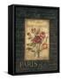 Bel Bouquet III-Kimberly Poloson-Framed Stretched Canvas