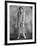 Bela Lugosi-null-Framed Photographic Print