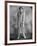 Bela Lugosi-null-Framed Photographic Print