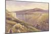 Belah Viaduct, 1869 (W/C and Gouache with Pen and Ink on Paper)-John Osborn Brown-Mounted Giclee Print