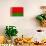 Belarus Flag Design with Wood Patterning - Flags of the World Series-Philippe Hugonnard-Art Print displayed on a wall