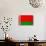 Belarus Flag Design with Wood Patterning - Flags of the World Series-Philippe Hugonnard-Art Print displayed on a wall