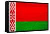 Belarus Flag Design with Wood Patterning - Flags of the World Series-Philippe Hugonnard-Framed Stretched Canvas