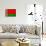 Belarus Flag Design with Wood Patterning - Flags of the World Series-Philippe Hugonnard-Framed Stretched Canvas displayed on a wall