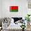 Belarus Flag Design with Wood Patterning - Flags of the World Series-Philippe Hugonnard-Framed Stretched Canvas displayed on a wall