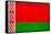 Belarus Flag Design with Wood Patterning - Flags of the World Series-Philippe Hugonnard-Framed Stretched Canvas