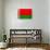 Belarus Flag Design with Wood Patterning - Flags of the World Series-Philippe Hugonnard-Art Print displayed on a wall