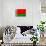 Belarus Flag Design with Wood Patterning - Flags of the World Series-Philippe Hugonnard-Art Print displayed on a wall