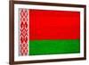 Belarus Flag Design with Wood Patterning - Flags of the World Series-Philippe Hugonnard-Framed Art Print