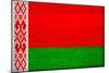Belarus Flag Design with Wood Patterning - Flags of the World Series-Philippe Hugonnard-Mounted Art Print